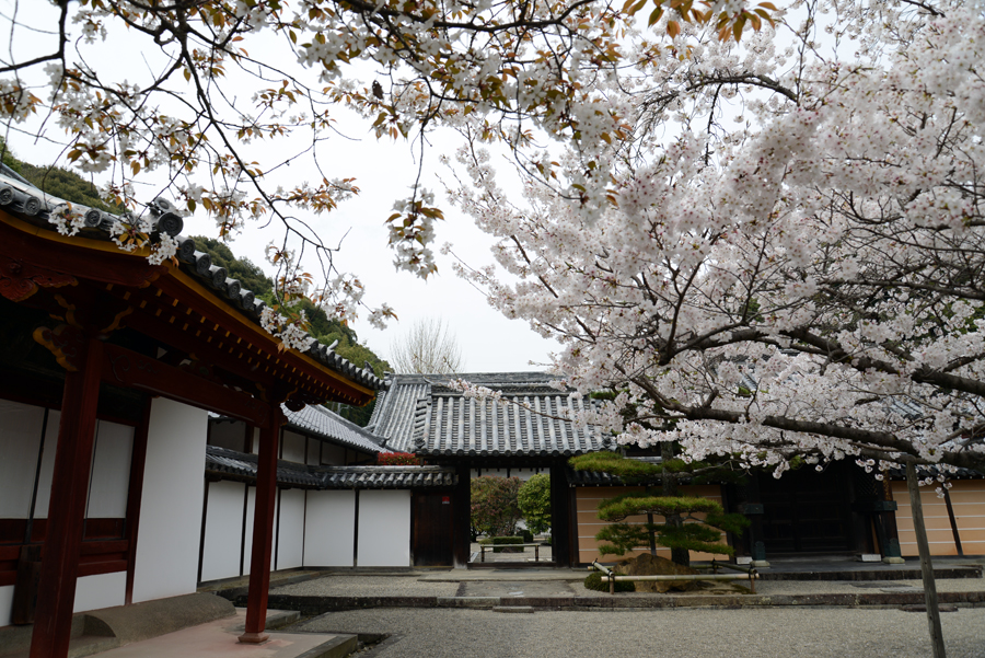 粉河寺