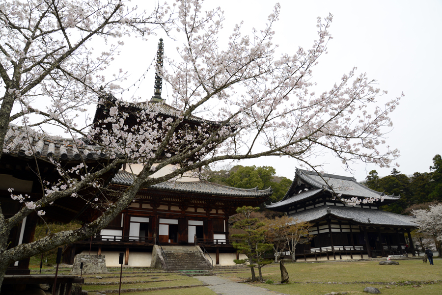 根来寺