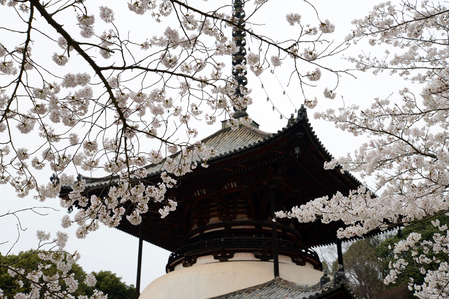 根来寺