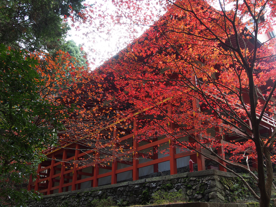 比叡山・横川中堂