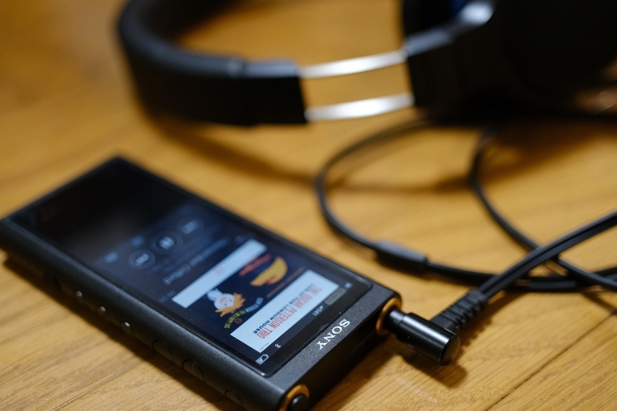 SONY WALKMAN NW-ZX300を買った - USHINABE SQUARE