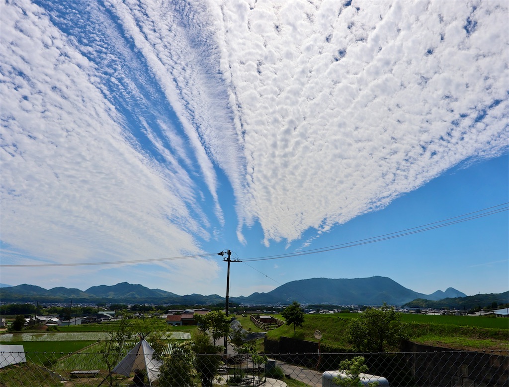 f:id:ushinokoi:20260611175134j:image f:id:ushinokoi:20260611175134j:image