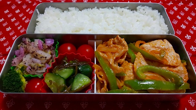 f:id:ushio-salt:20190217135851j:plain