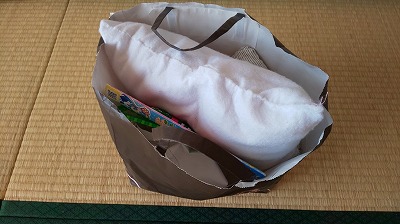 f:id:ushio-salt:20190519072746j:plain