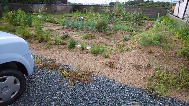 f:id:ushio-salt:20190917133937j:plain