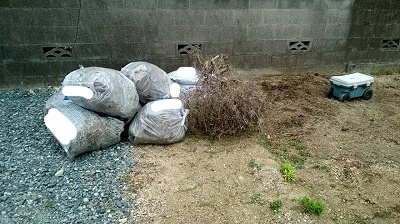 f:id:ushio-salt:20191025051649j:plain