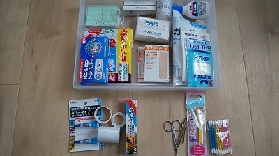 f:id:ushio-salt:20191114110322j:plain