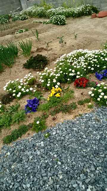 f:id:ushio-salt:20200318120602j:plain