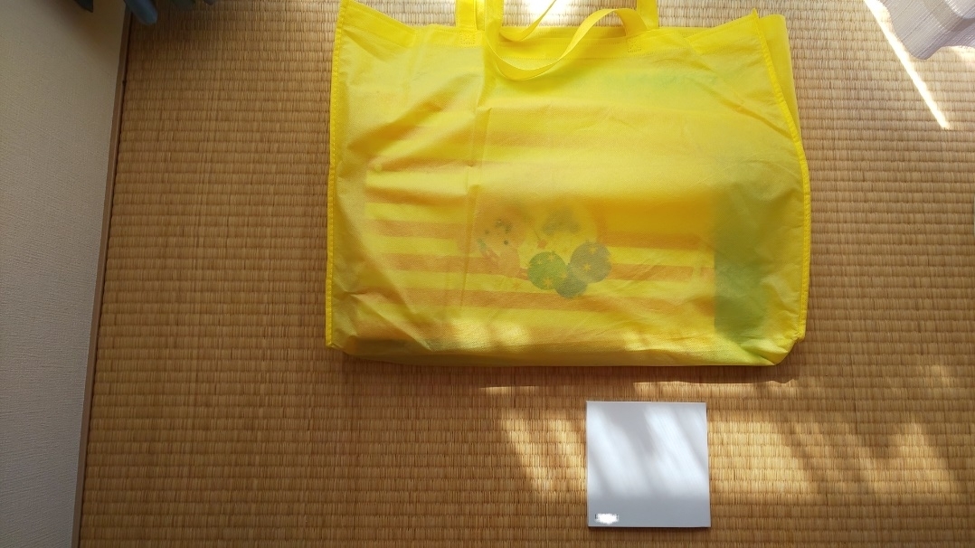 f:id:ushio-salt:20200925045720j:plain f:id:ushio-salt:20200925045720j:plain