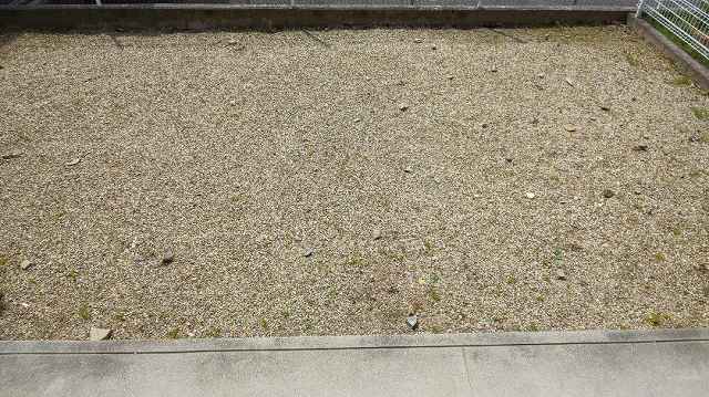 f:id:ushio-salt:20210419130133j:plain