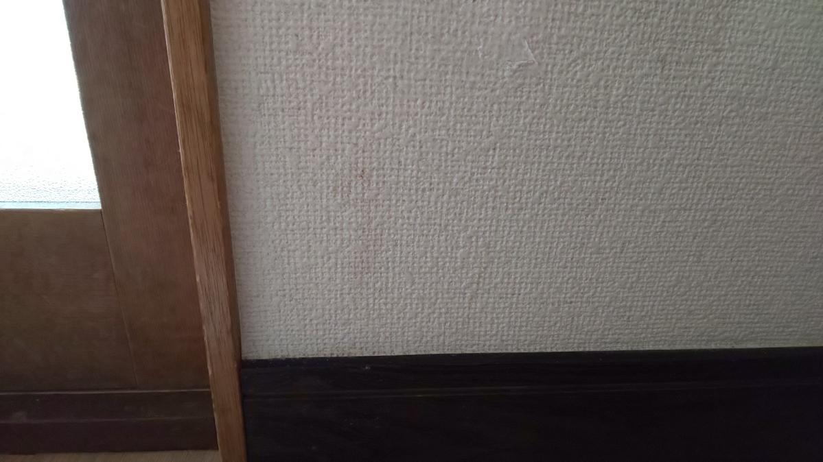 f:id:ushio-salt:20210603105023j:plain