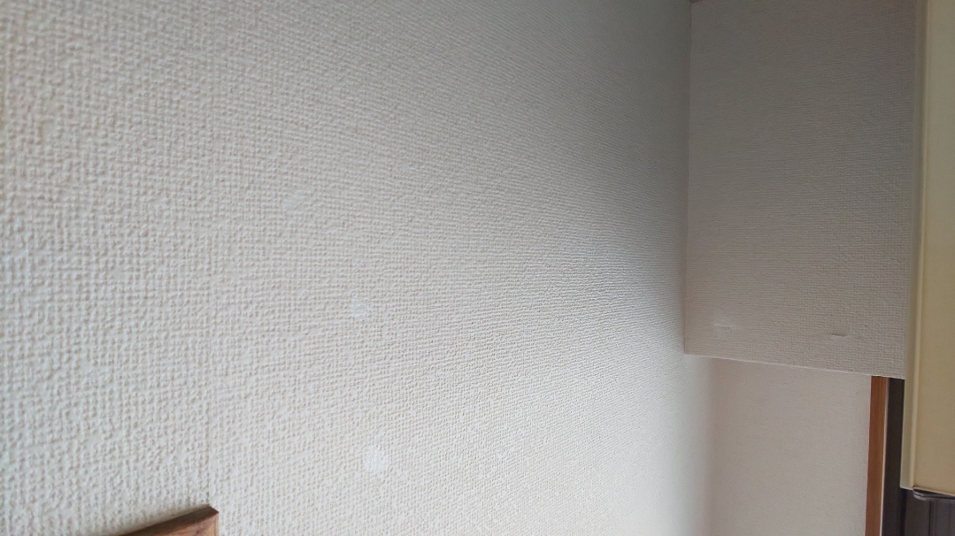 f:id:ushio-salt:20210603111707j:plain