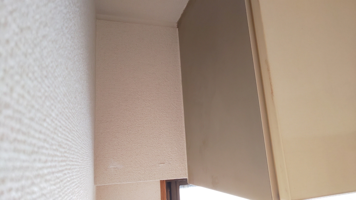 f:id:ushio-salt:20210603112149j:plain