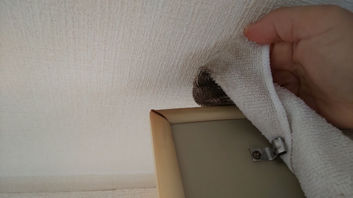 f:id:ushio-salt:20210603113419j:plain