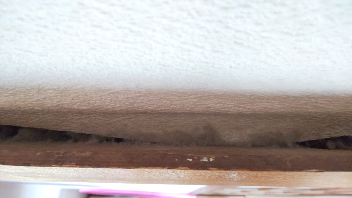 f:id:ushio-salt:20210609131453j:plain