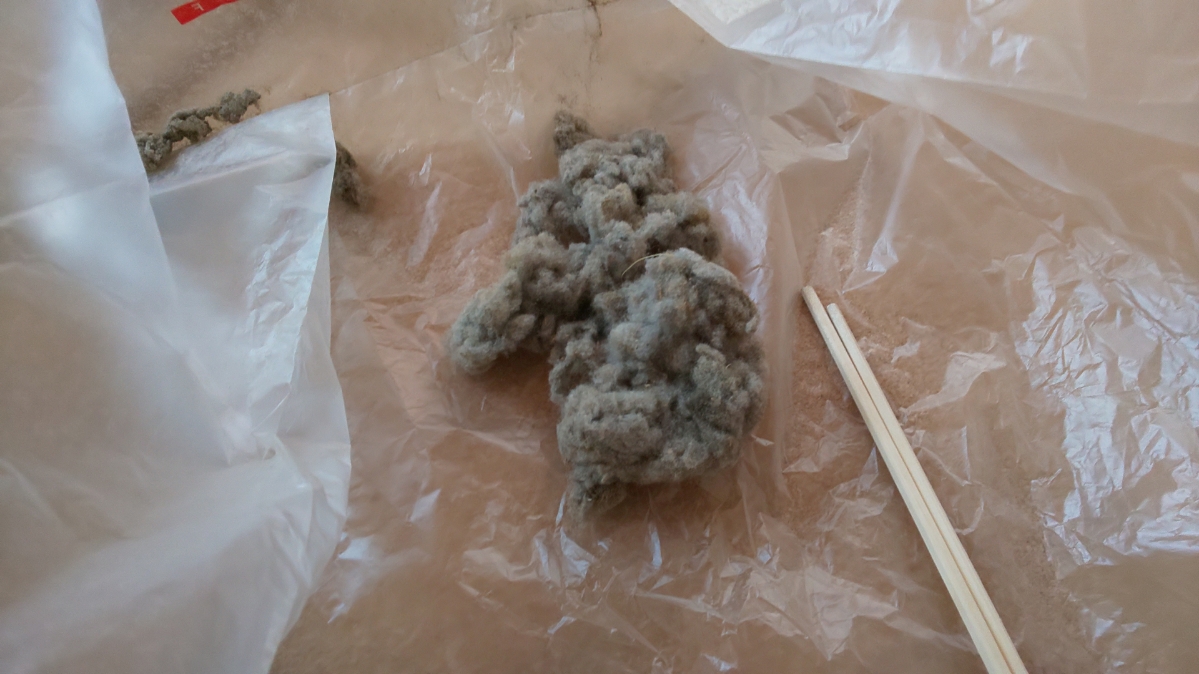 f:id:ushio-salt:20210609131858j:plain