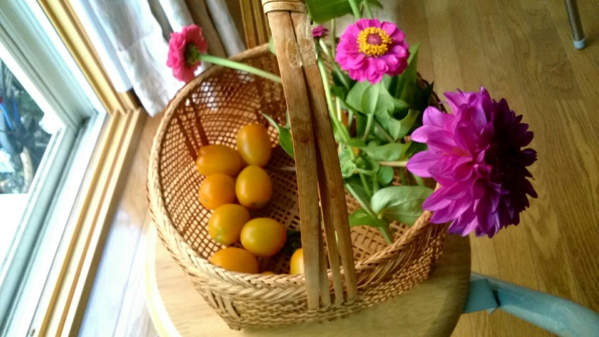 f:id:ushio-salt:20210701120658j:plain