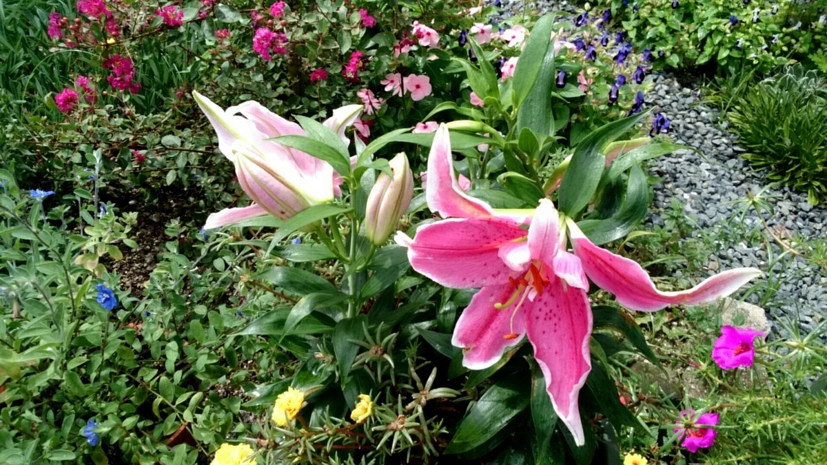 f:id:ushio-salt:20210906115807j:plain