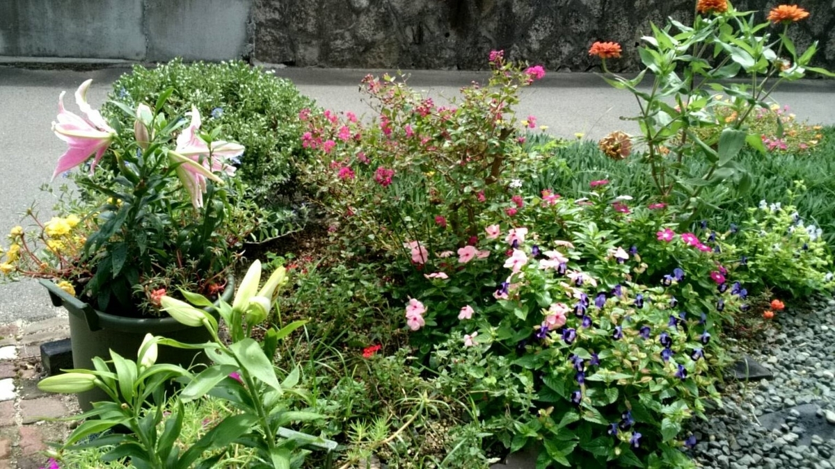 f:id:ushio-salt:20210906115826j:plain