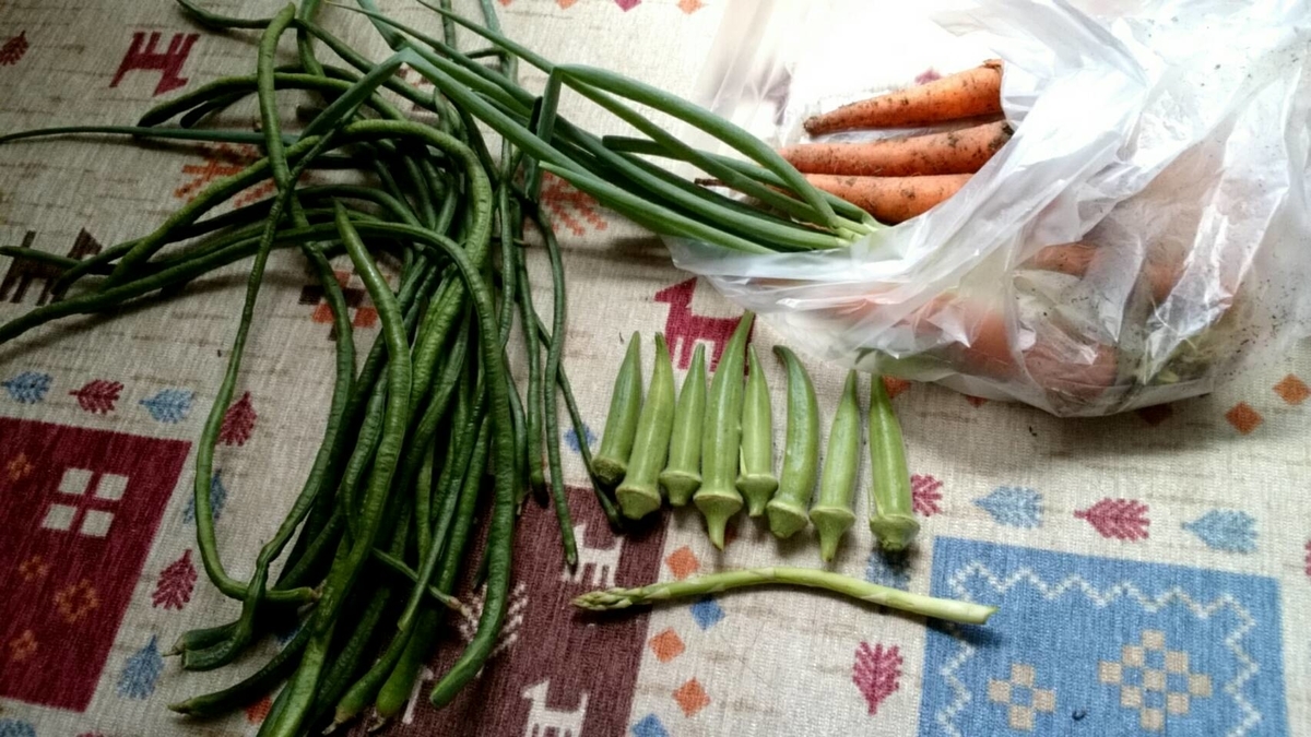 f:id:ushio-salt:20210910202354j:plain