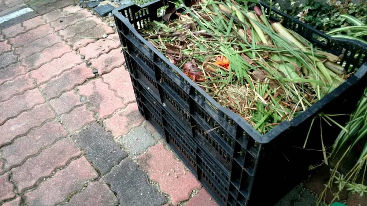 f:id:ushio-salt:20210921191929j:plain