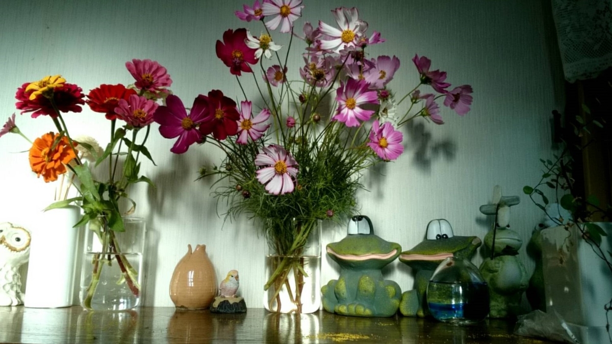 f:id:ushio-salt:20211007105317j:plain