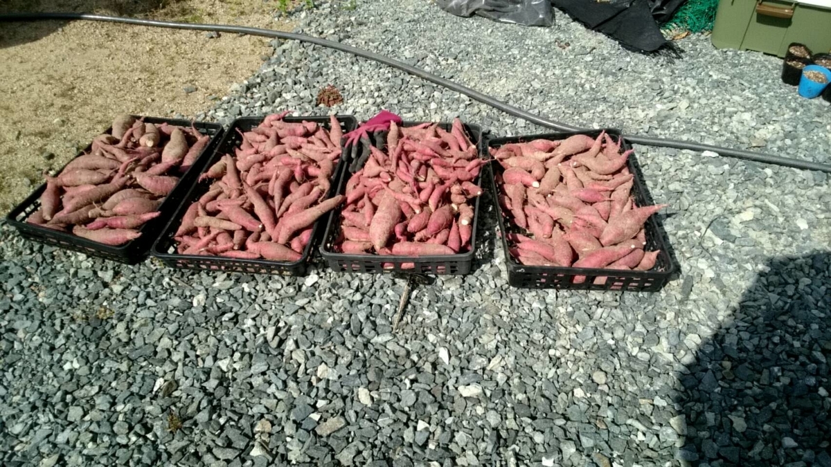 f:id:ushio-salt:20211009091155j:plain