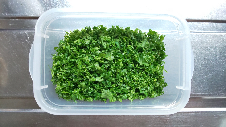 f:id:ushio-salt:20211013103330j:plain