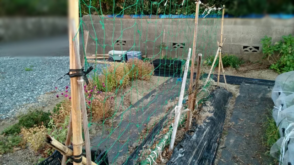 f:id:ushio-salt:20211026100904j:plain