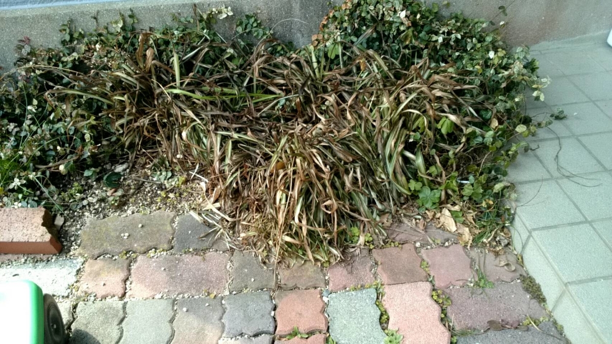 f:id:ushio-salt:20220228105059j:plain