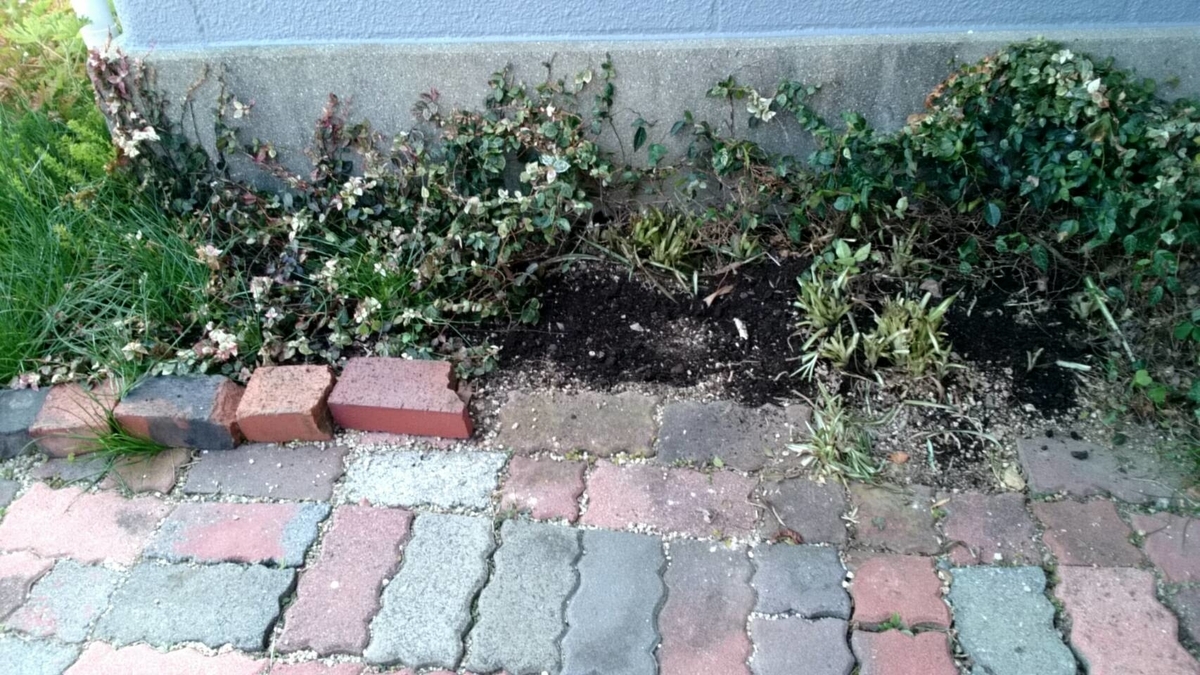 f:id:ushio-salt:20220228105126j:plain