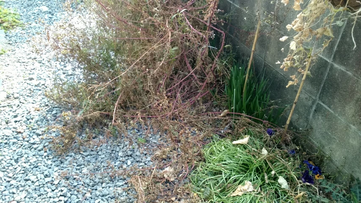 f:id:ushio-salt:20220228105208j:plain