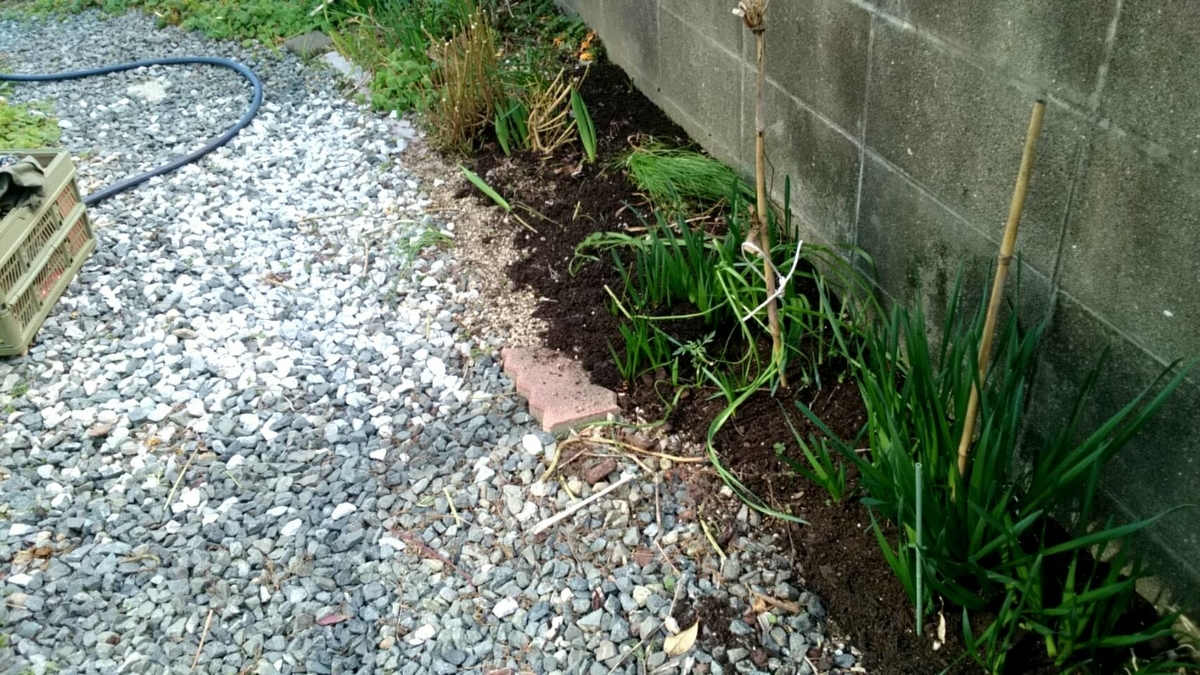 f:id:ushio-salt:20220228105237j:plain