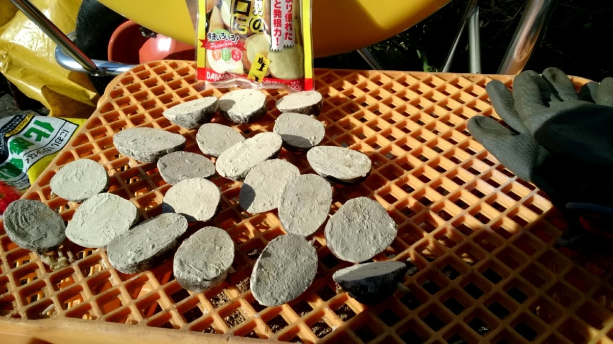 f:id:ushio-salt:20220301111250j:plain