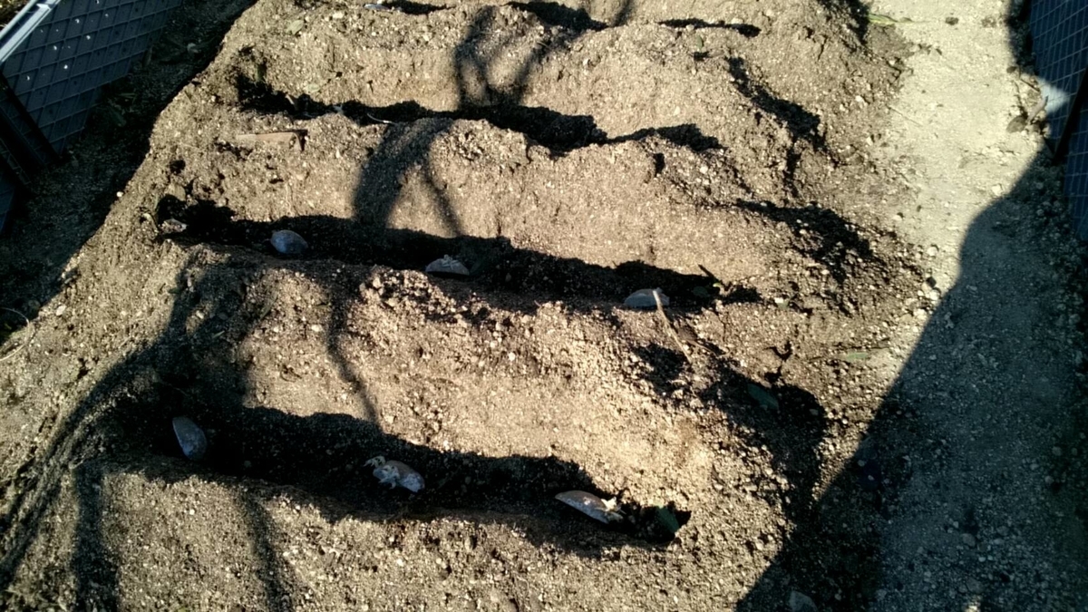 f:id:ushio-salt:20220301111433j:plain