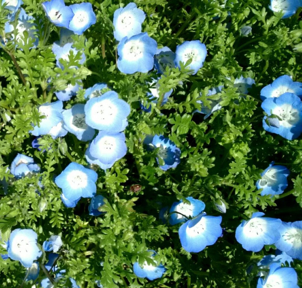 f:id:ushio-salt:20220405135922j:plain