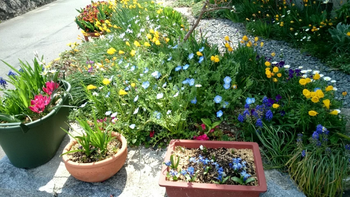 f:id:ushio-salt:20220411190828j:plain