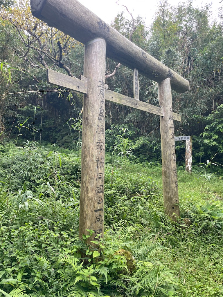 f:id:ushironoko:20250104123444j:image