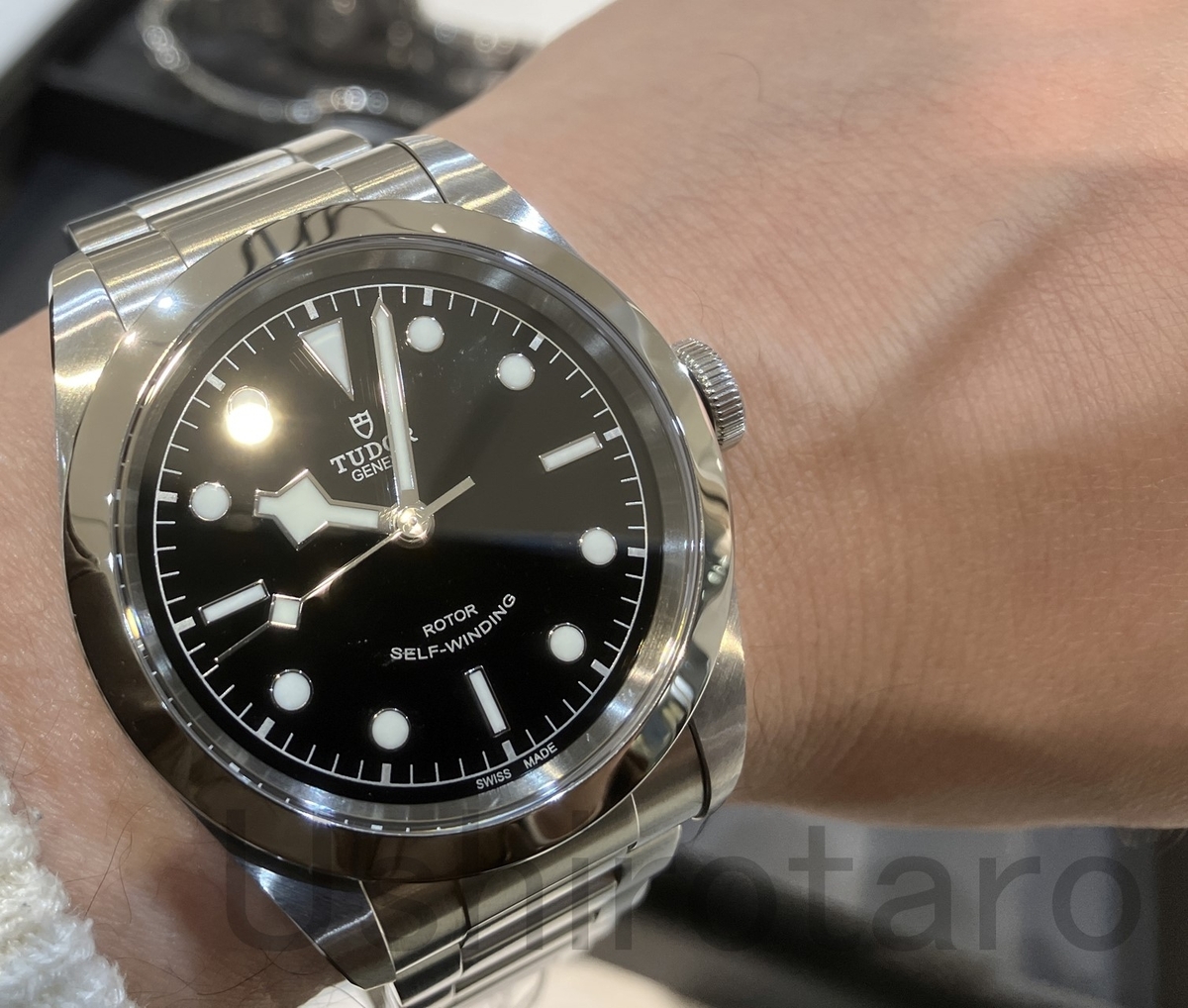 Tudor ヘリテージブラックベイ 79540 も迷った件 - 後ろ向き太郎の