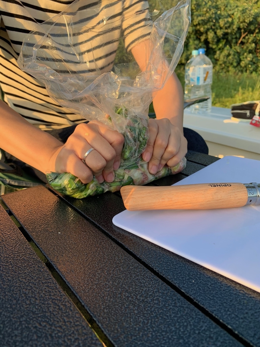f:id:ushisaku:20190616190347j:plain