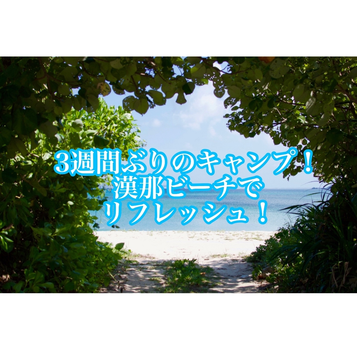 f:id:ushisaku:20190617113259j:plain