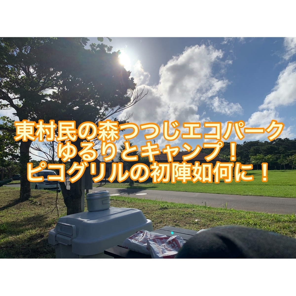 f:id:ushisaku:20190707232915j:plain