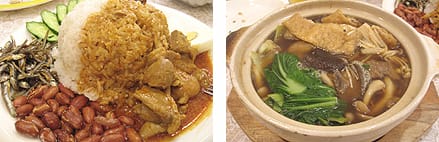 大地の木