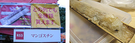 タイフェス