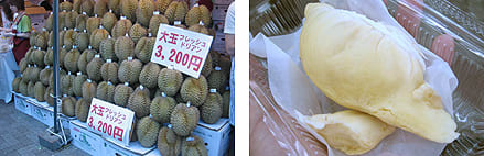 タイフェス