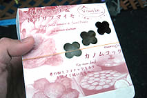タイフェス