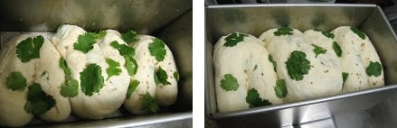パクパン