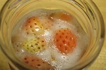苺酵母