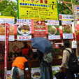 タイフェス2日目7