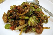 大地の木